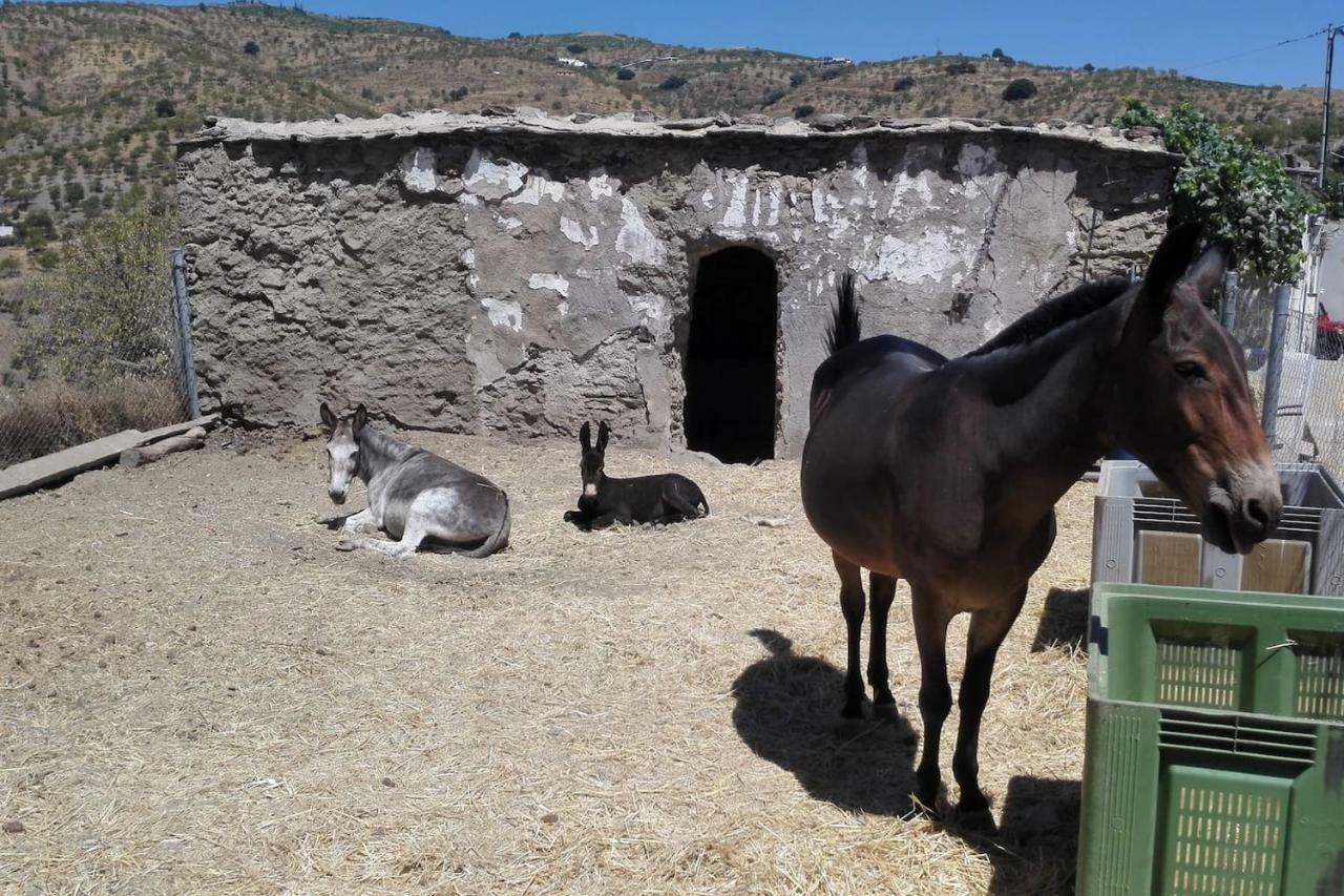 Una Joya En La Alpujarra Бубион Экстерьер фото